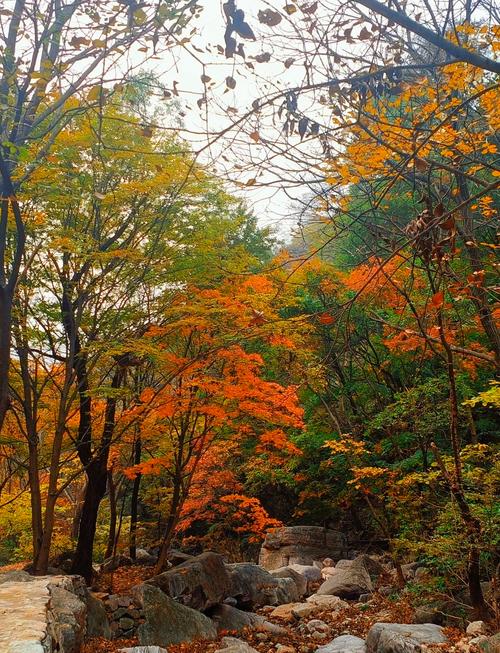 天津蓟州区旅游景点大全