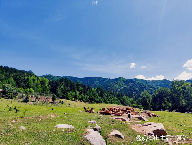 太原自驾游庞泉沟攻略