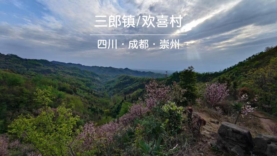 崇洲三郎镇自驾游线路