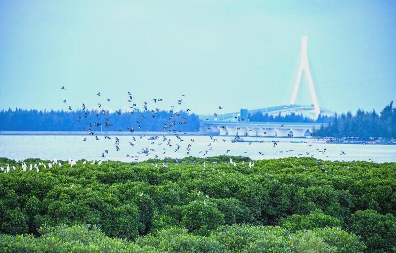 海口东站附近有什么景点