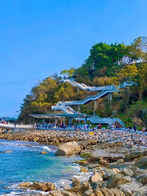 深圳65岁以上免费景点