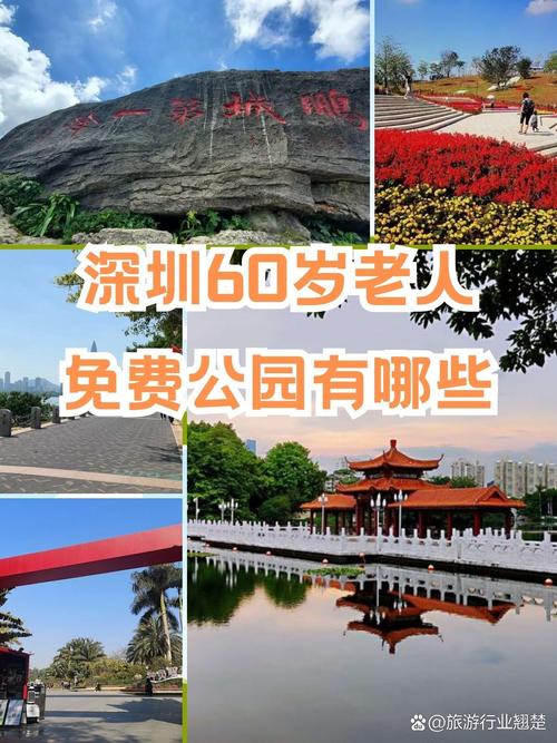 深圳65岁以上免费景点