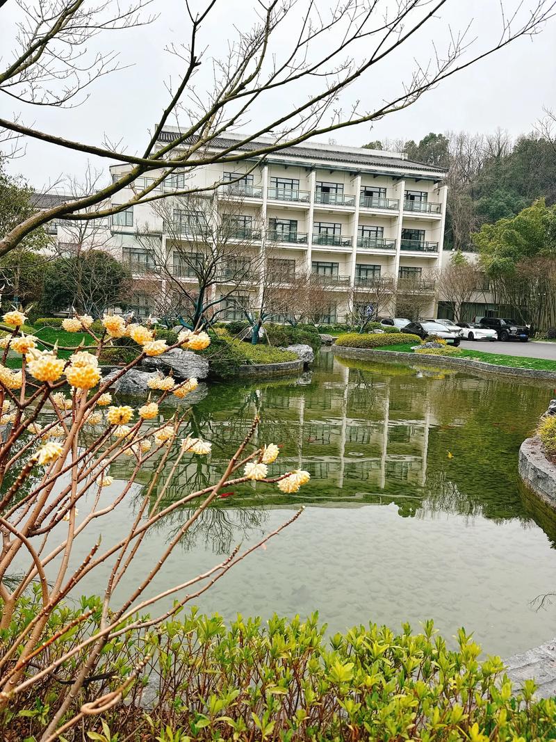 浙江省中医院附近酒店