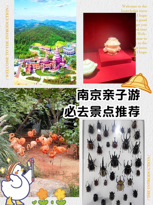 南京亲子游必去景点推荐