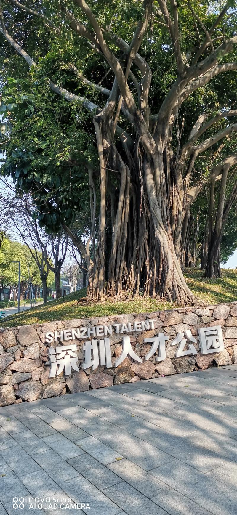 深圳人才公园有哪些景点