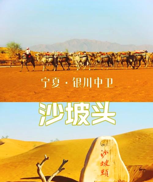 宁夏沙坡头旅游景点介绍