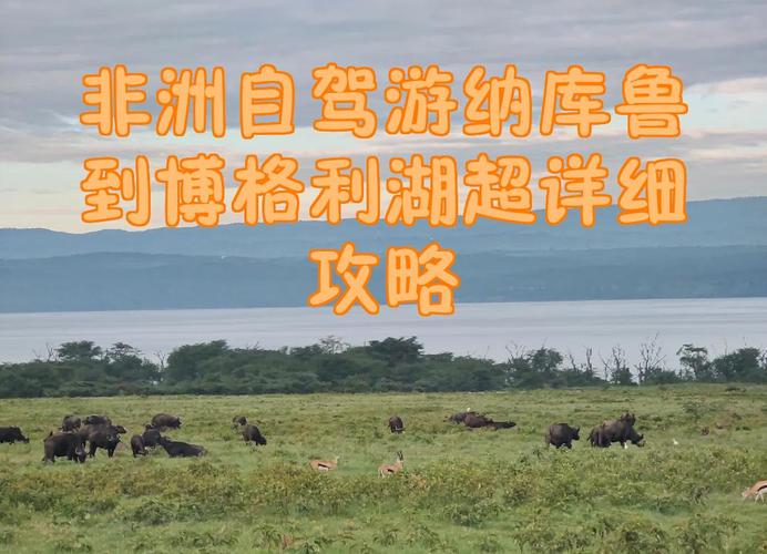 非洲自驾游7天多少钱