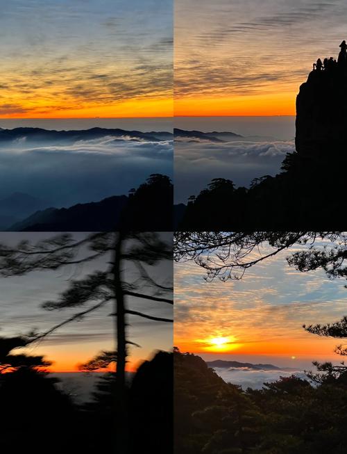 黄山看日出住哪个酒店