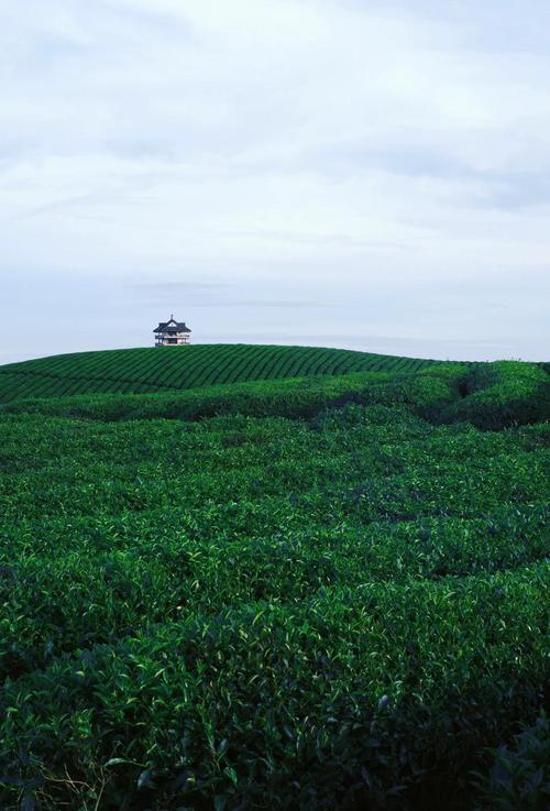 遵义湄潭旅游景点有哪些