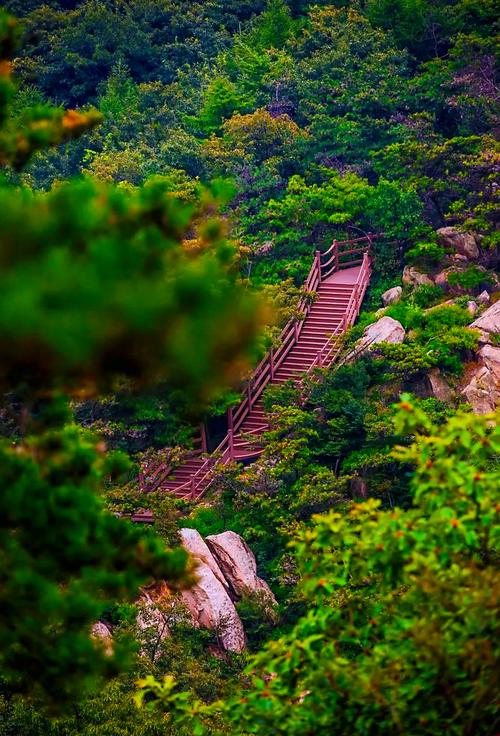 临沂自驾游免费景点大全