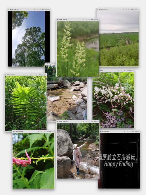 鹤立石海自驾游怎么走