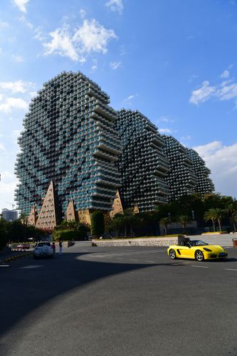 三亚美丽之冠大树酒店