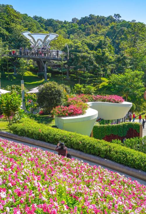 广州11月旅游景点推荐