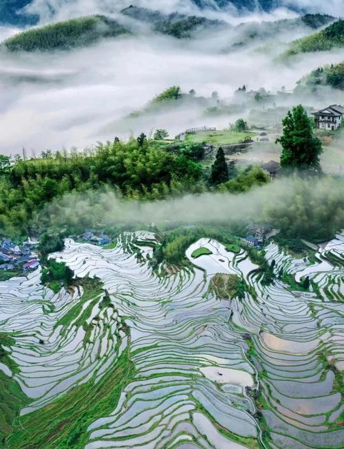 浙江丽水旅游必去的景点