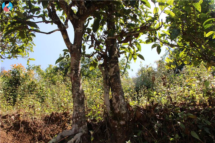 包头到五寨自驾游路线