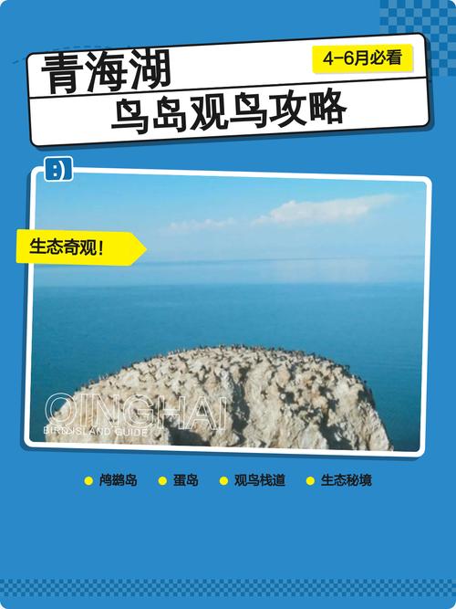 青海湖鸟岛自驾游攻略