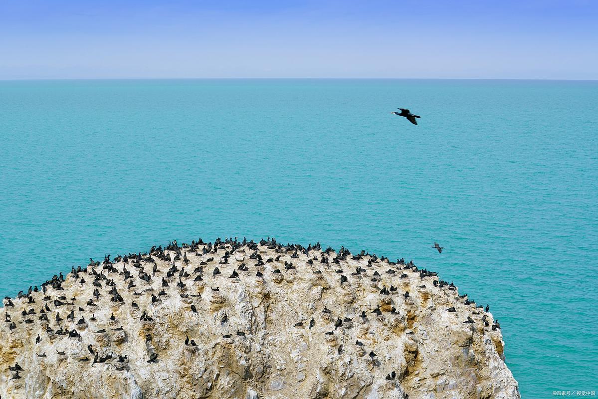 青海湖鸟岛自驾游攻略