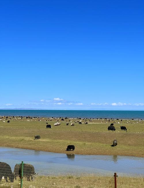 益阳出发自驾游青海湖