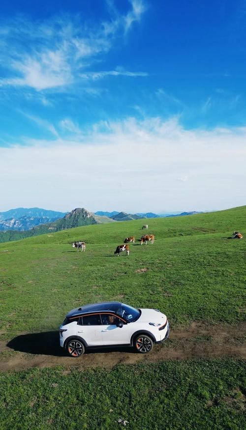 张家口空中草原自驾游