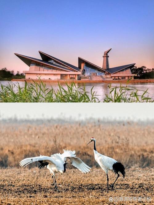 盐城旅游景点有哪些地方