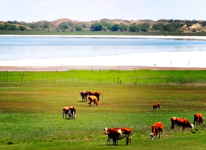 大连到克什克腾自驾游