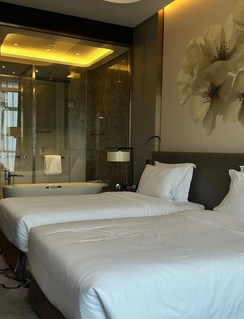 长沙顺天凯宾斯基酒店