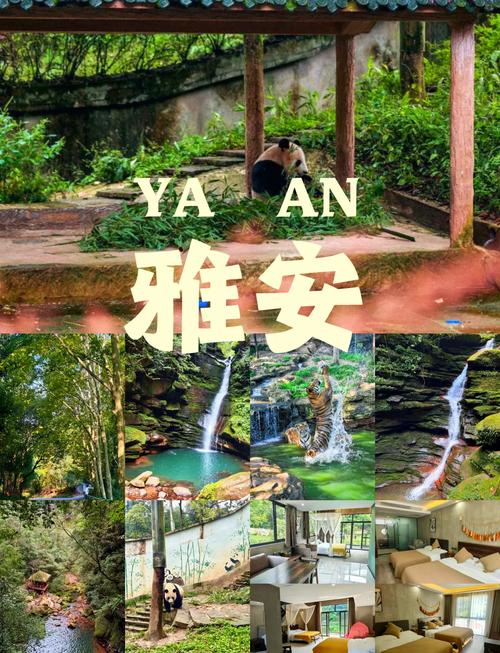 碧峰峡2日自驾游攻略