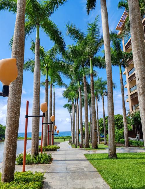 三亚湾红树林度假酒店