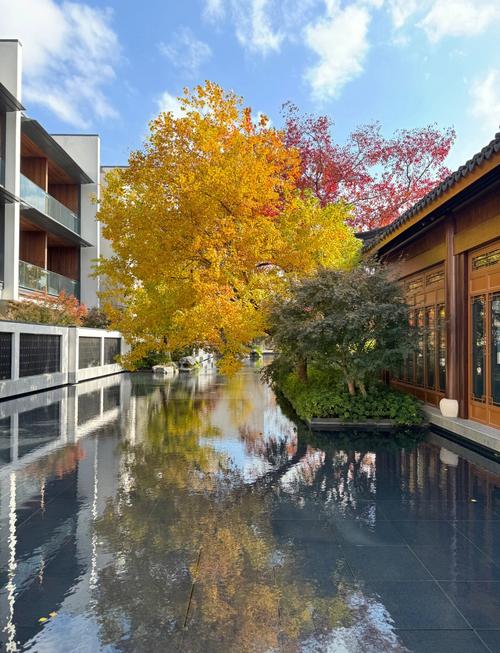 苏州园林酒店排名榜