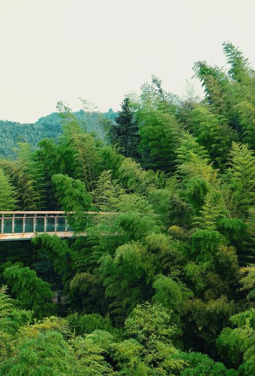 蜀南竹海两日游自驾游