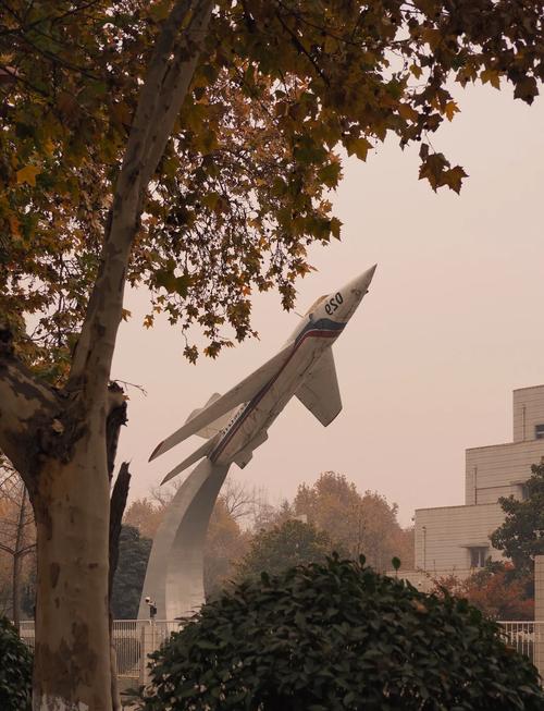 阎良周边自驾游一日游