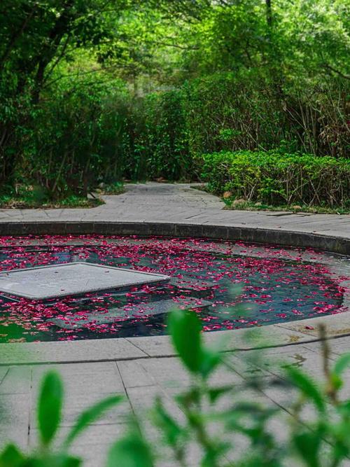 阳西咸水矿温泉酒店