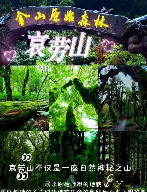 哀牢山自驾游旅游攻略