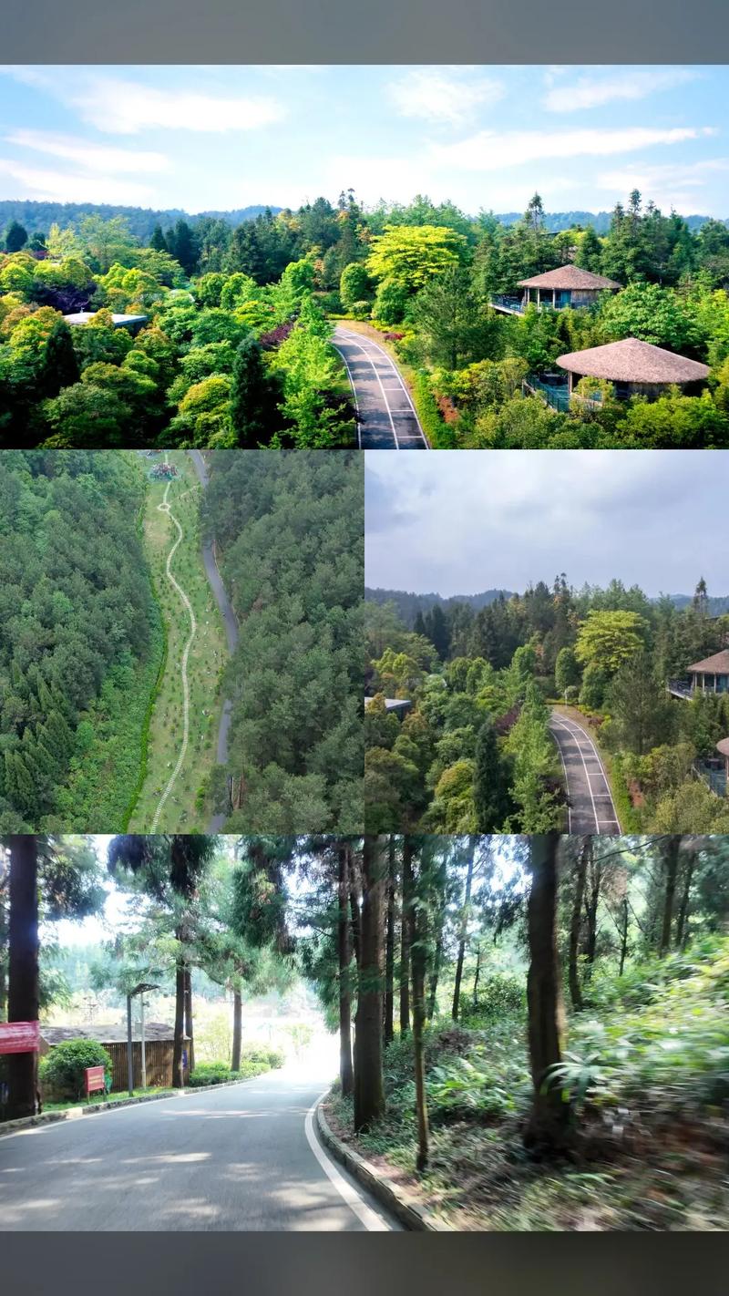 九龙山风景区 酒店