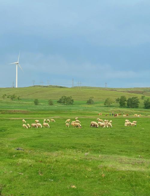 聊城到张北草原自驾游