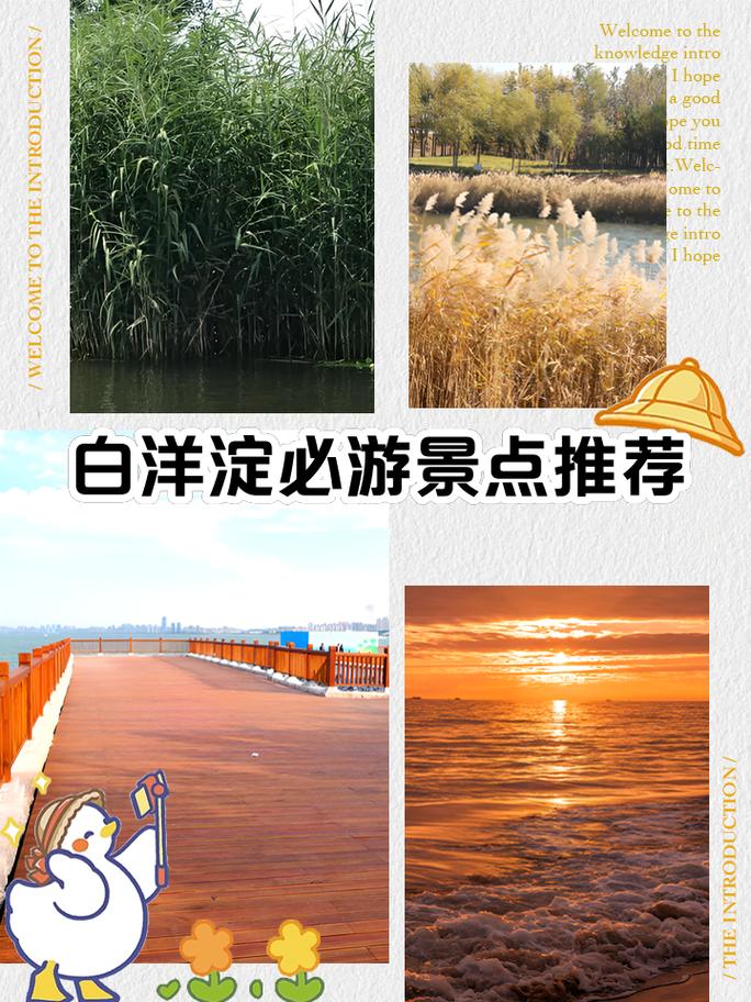 白洋淀旅游自驾游攻略