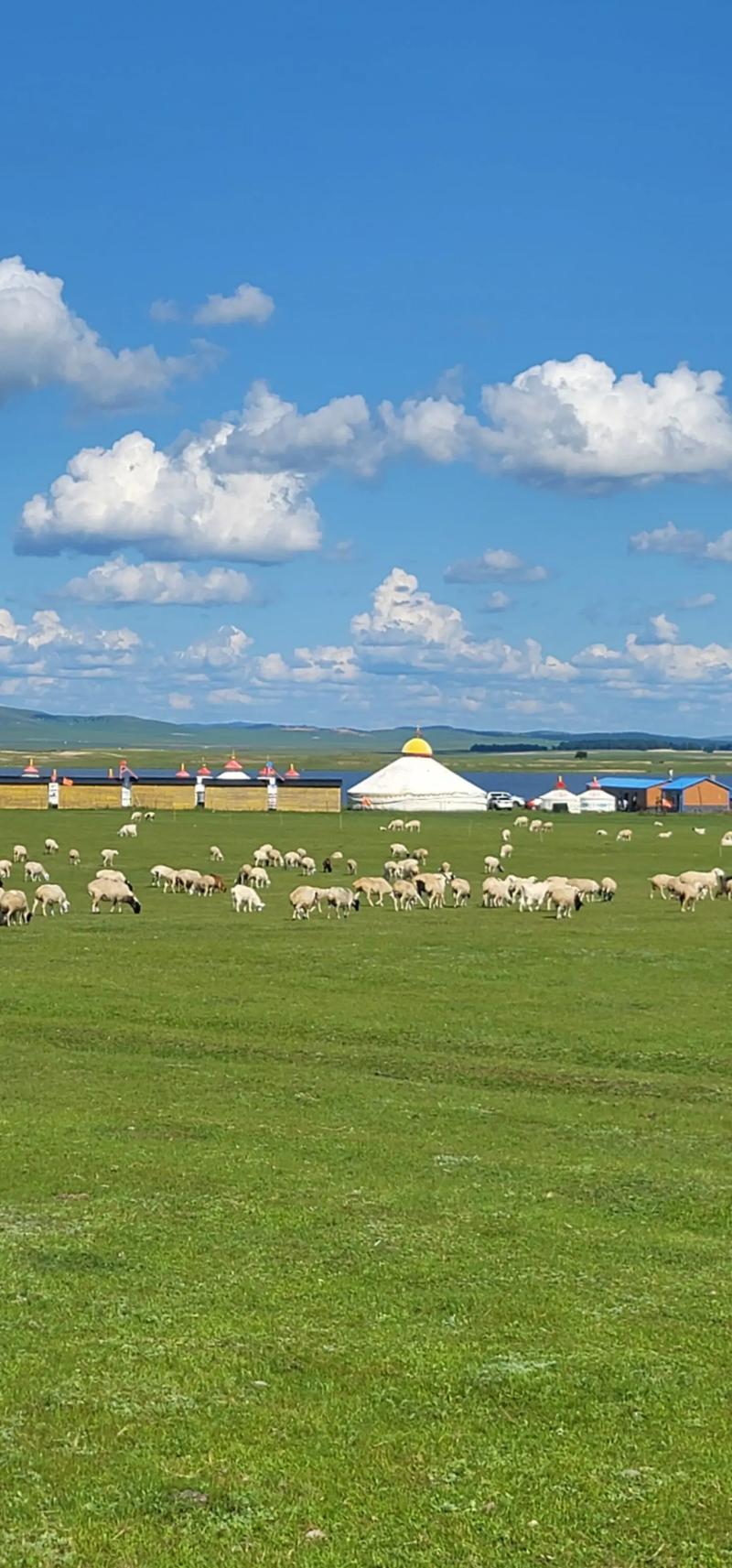 呼伦贝尔大草原旅游景点