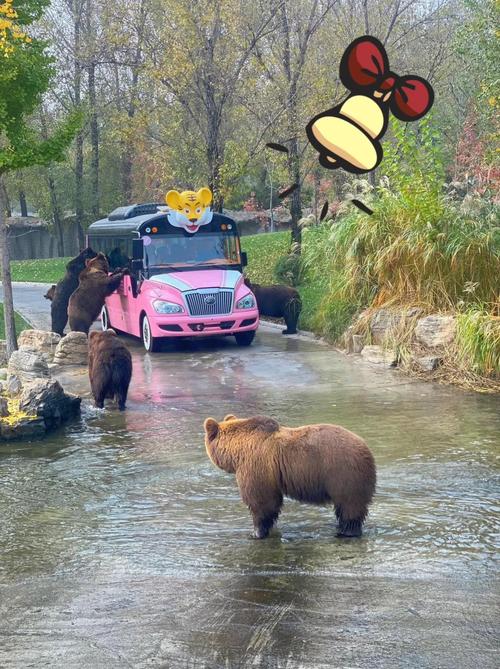 大兴动物园自驾游攻略