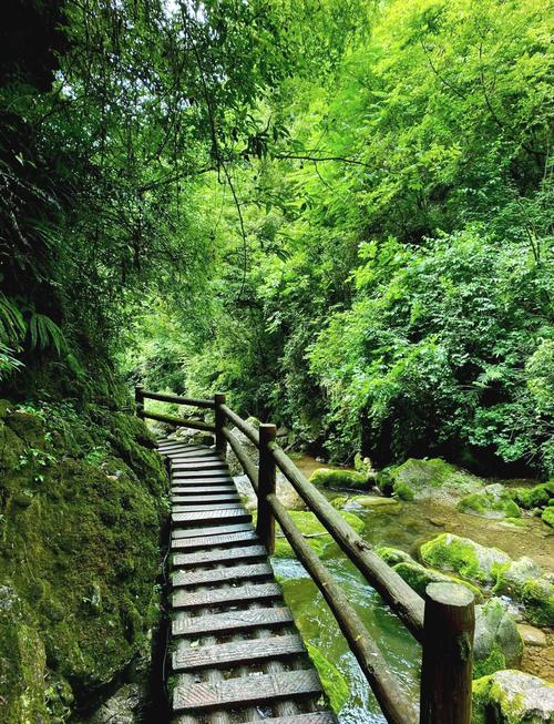 成都青城山后山自驾游