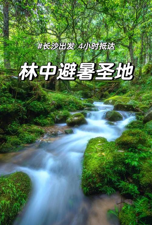 从长沙出发4日自驾游