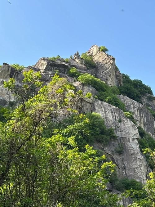 翠华山自驾游旅游攻略