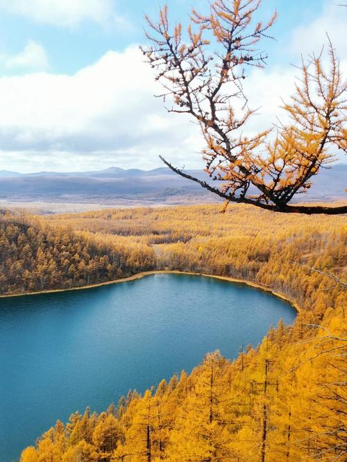 阿尔山国家森林公园景点