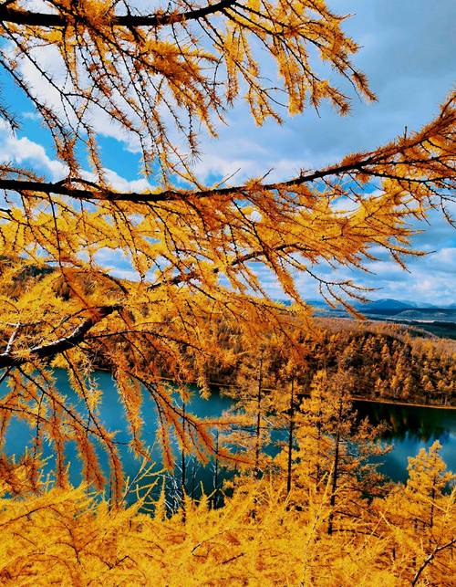 阿尔山国家森林公园景点