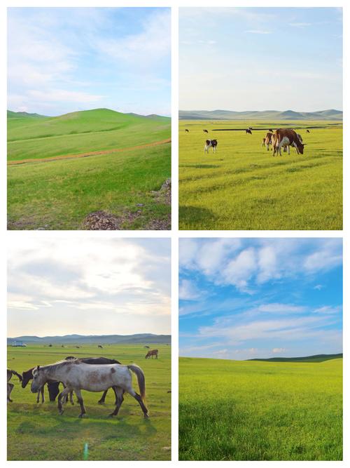 呼伦贝尔旅游景点有哪些