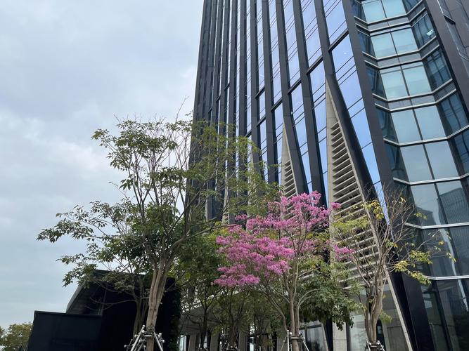 广州黄花岗蓝天酒店