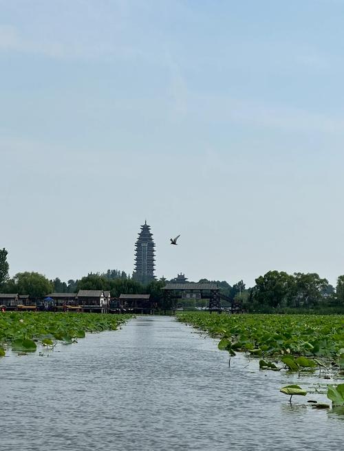 微山湖旅游景区自驾游