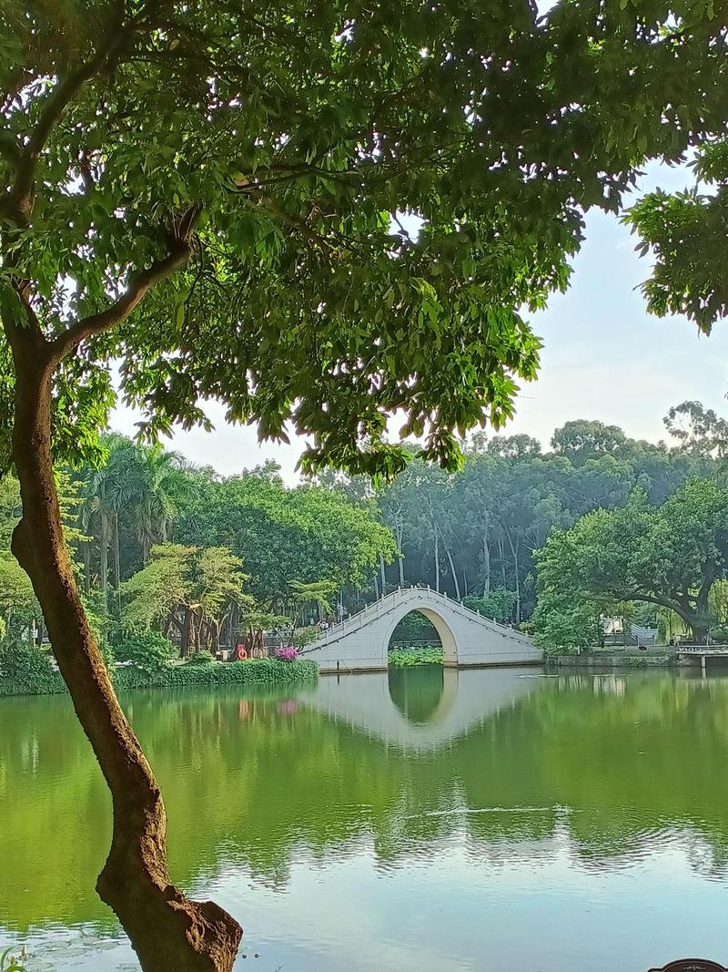 东莞景点大全 免费开放