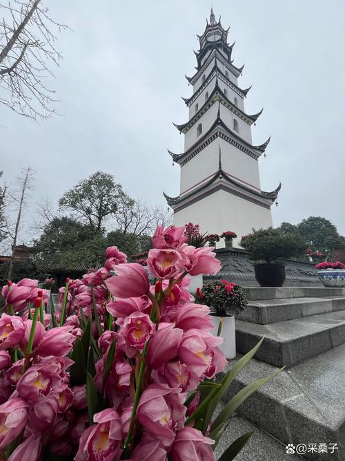 崇州旅游景点有哪些景点