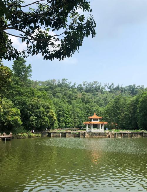 仙湖植物园有哪些景点