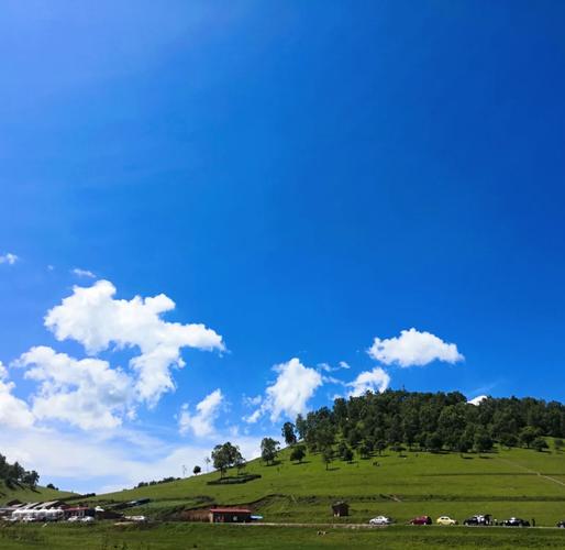 宝鸡市关山牧场自驾游